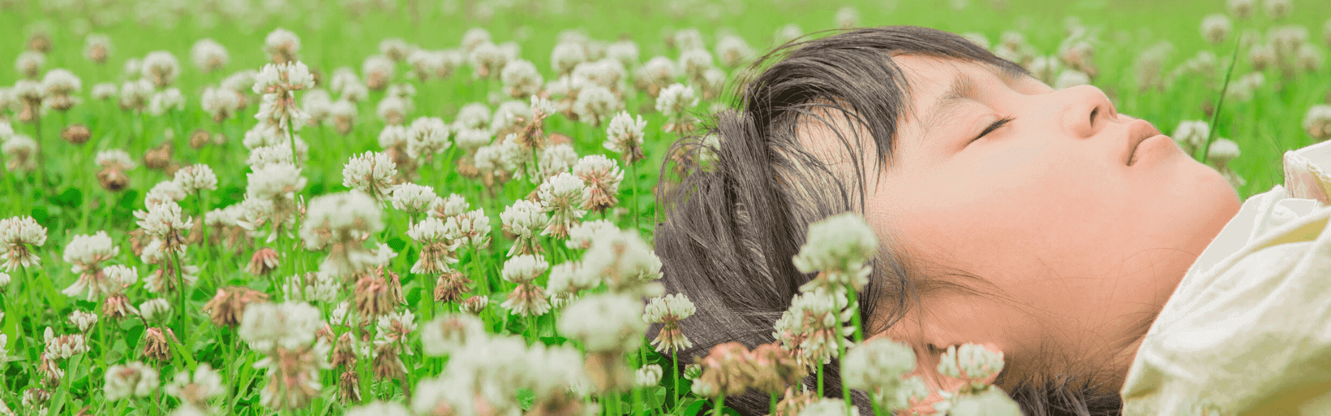 How to Choose Between a Safe Job and a Risky Dream